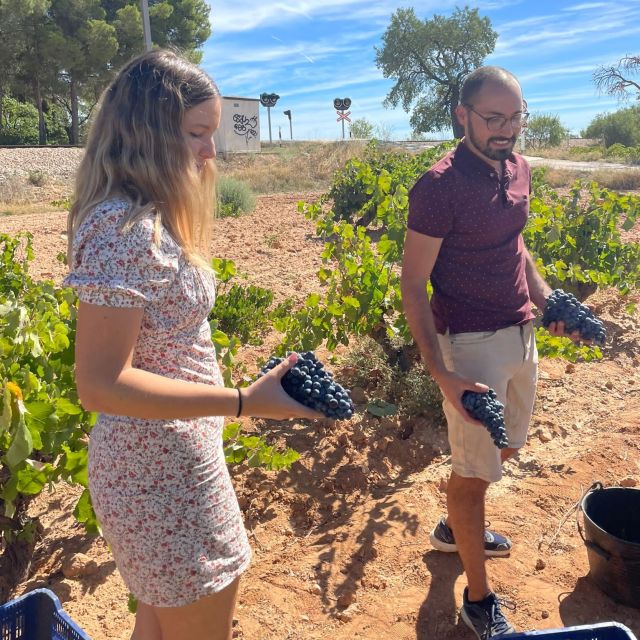 Valencia: Utiel-Requena Cave & Winery Day Trip with Tasting - Requena on foot: a quick town reset before the caves
