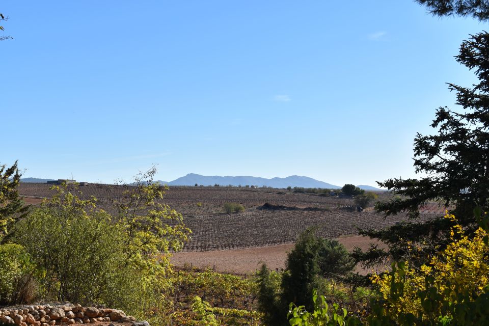 Valencia: Utiel-Requena Cave & Winery Day Trip with Tasting - What you actually get during tastings (and what you eat with it)