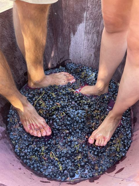 Valencia: Utiel-Requena Cave & Winery Day Trip with Tasting - Small group and guide style: why the day feels personal