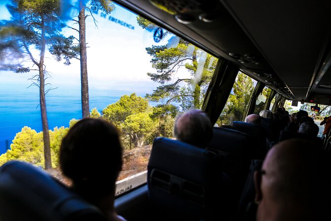 Valldemosa and Valley of Soller Tour in Mallorca - The Tramuntana drive: your moving viewpoint