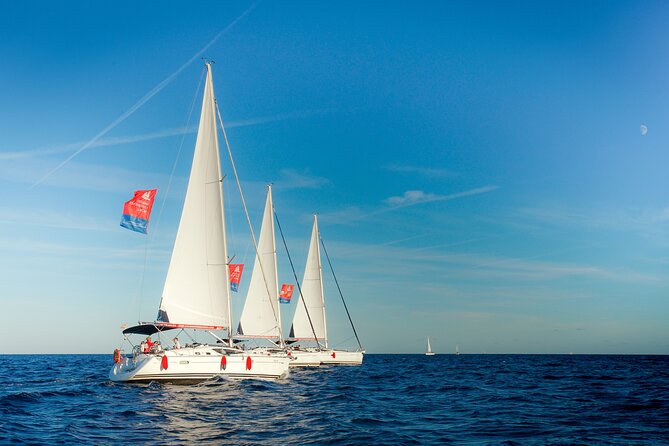 Vermut & Sailing Experience Barcelona with Drinks and Snacks - Swim Time (If the Sea Lets You): Conditions and Comfort