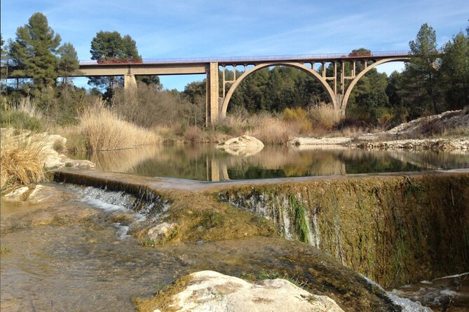Via Verde Cretes - Pinell de Brai 27km (90% dec. 10% flat) - First views from Cretas: vineyards, old olives, and Rocas de Benet