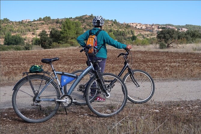 Via Verde Cretes - Pinell de Brai 27km (90% dec. 10% flat) - Into the Natural Park: forests, ravines, bridges, and tunnel time