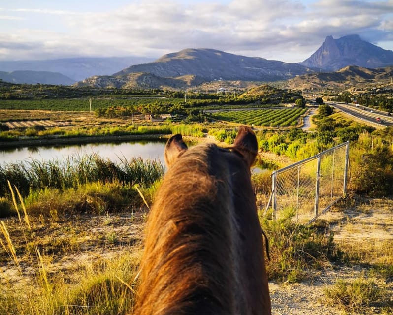Villajoyosa Horseback Riding in the Mountains with sea views - Key Things to Know Before You Ride