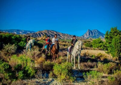 Villajoyosa Horseback Riding in the Mountains with sea views - What you do before you mount at Club hípico Legend