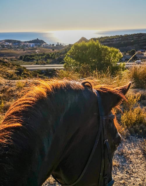 Villajoyosa Horseback Riding in the Mountains with sea views - Group size and vibe: why small feels better here