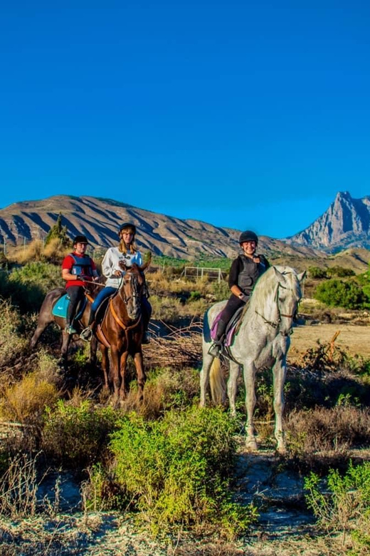 Villajoyosa Horseback Riding in the Mountains with sea views - Who this Villajoyosa horseback ride suits best