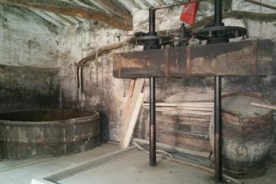 Visit a winery of the 19th century and its draft - What you learn about carbonic maceration and traditional winemaking