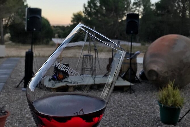 Visit and Wine Tasting at the Territorio Luthier Winery - Key things to know before you go