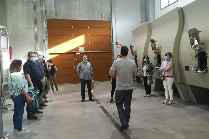 Visit and Wine Tasting at the Territorio Luthier Winery - Your 2-Hour Flow: Tour, Snacks, Then a Focused Tasting