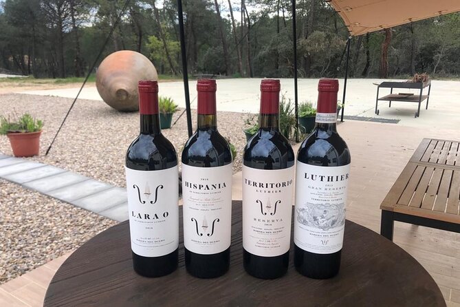 Visit and Wine Tasting at the Territorio Luthier Winery - Snacks and Aperitif Mode: The Pace That Helps You Stay Sharp