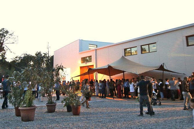 Visit and Wine Tasting at the Territorio Luthier Winery - Stop 1: Territorio Luthier Facilities and the Winemaking You Can See