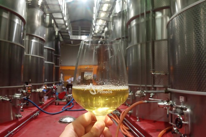 Visit and wine tasting with sausage and BODEGA PIRINEOS cheese - Your quick wine-and-food plan in Aragón (without the fluff)
