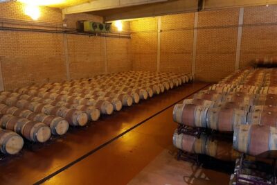 Visit and wine tasting with sausage and BODEGA PIRINEOS cheese - The tasting: rosé, white, and two reds with cheese and sausage