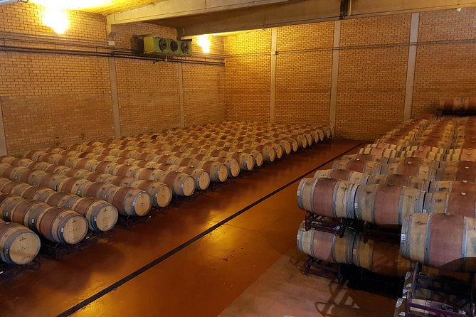 Visit and wine tasting with sausage and BODEGA PIRINEOS cheese - The tasting: rosé, white, and two reds with cheese and sausage