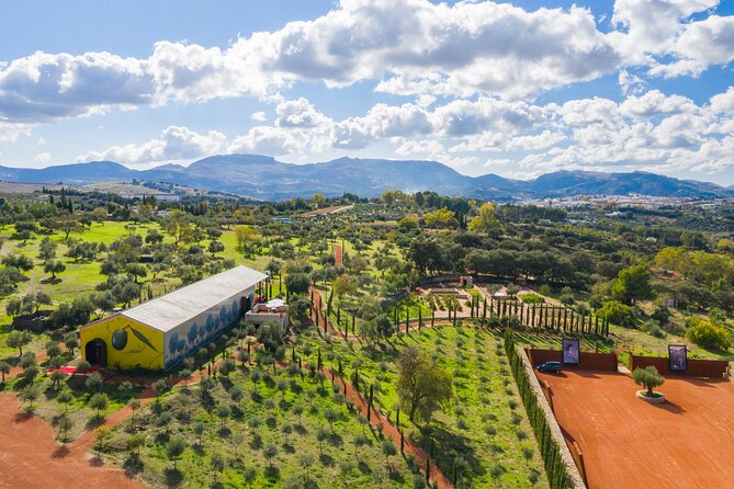 Visit Oil Mill Museum and Olive Oil Tasting in Ronda - Key highlights that make this oil mill museum worth your time