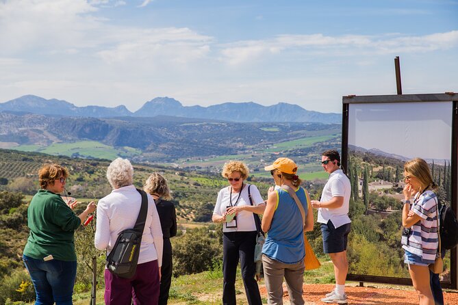 Visit Oil Mill Museum and Olive Oil Tasting in Ronda - The walk between olive groves and organic vineyards (and yes, there are surprises)
