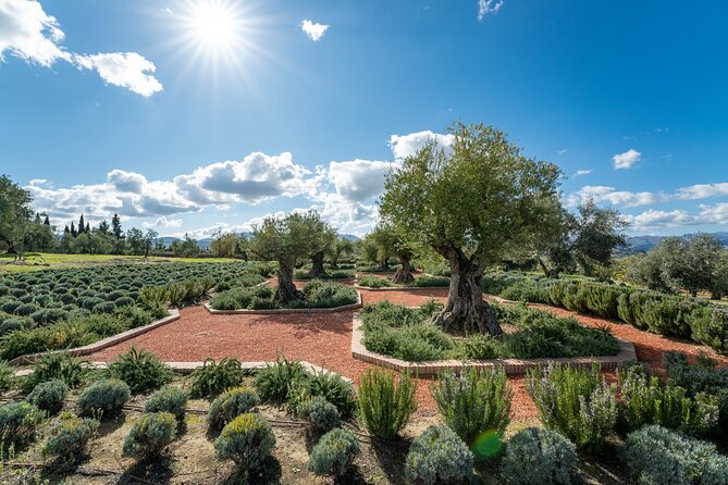 Visit Oil Mill Museum and Olive Oil Tasting in Ronda - Where it fits in a Ronda day: a half-morning plan that doesn’t eat your time