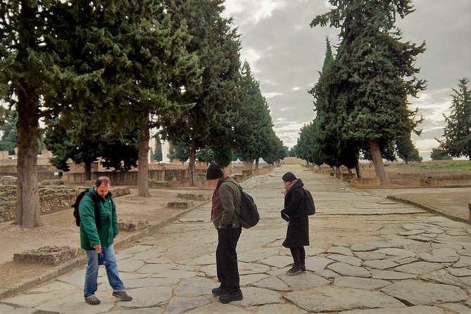Visit to Italica Roman Ruins Tour tickets included - Getting There and Where You Start in Av. Extremadura