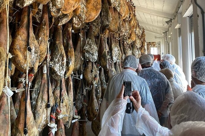 Visit to the Ham Factory in Salamanca. Tasting and Masterclass - Winery and Dryers: Where the Curing Becomes Real