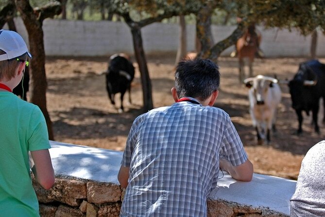 Visita Entre Toros y Caballos - Timing, group size, and what the English experience feels like