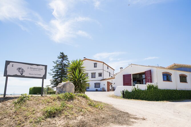 Viticulture and Wine-Tasting 3-Hour Trip from Barcelona - Getting There: Meeting Point, Timing, and Your No-Surprises Plan