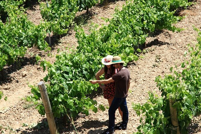 Viticulture and Wine-Tasting 3-Hour Trip from Barcelona - The After-Tour Booklet: Turning a Visit Into Real Skills