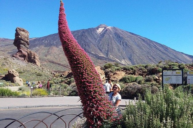 Volcano Teide - Masca ravine. Guided Tour from Puerto de la Cruz - Tenerife - Day-Start Logistics: Pickup Timing and What to Plan For