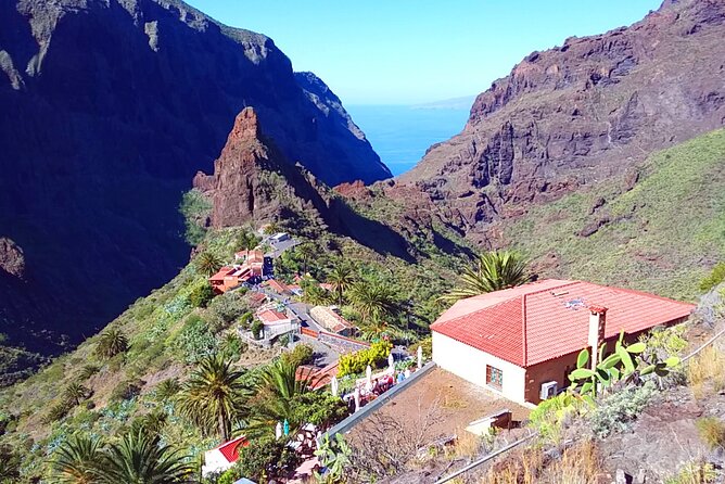 Volcano Teide - Masca ravine. Guided Tour from Puerto de la Cruz - Tenerife - Guides, Driving, and Group Size: How the Day Feels in Real Life