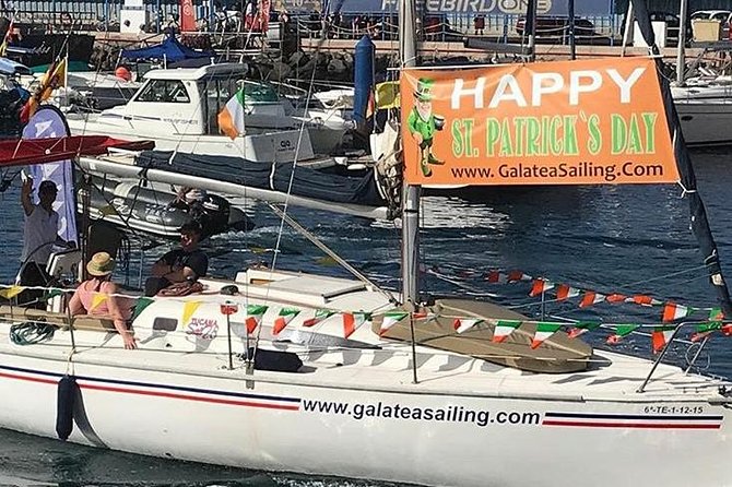 Whale and Dolphin Small Group Sailing from Tenerife South - Who Should Book This Galatea Whale and Dolphin Sail (and Who Might Prefer Another Option)