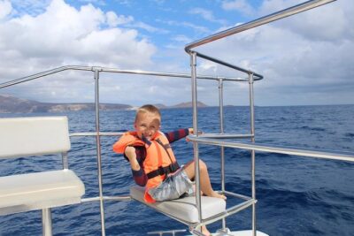 Whale and Dolphin Watching Catamaran with Transfer and Buffet - The dolphin and whale hunt: how the guide changes your odds