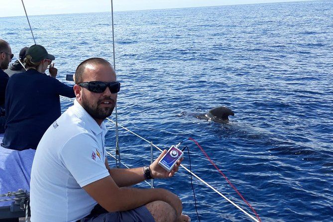 Whale and Dolphin Watching Sailing Boat with Drinks, Snacks and Swimming Time - Group Size and Comfort: Why This Feels Different From Big Tours