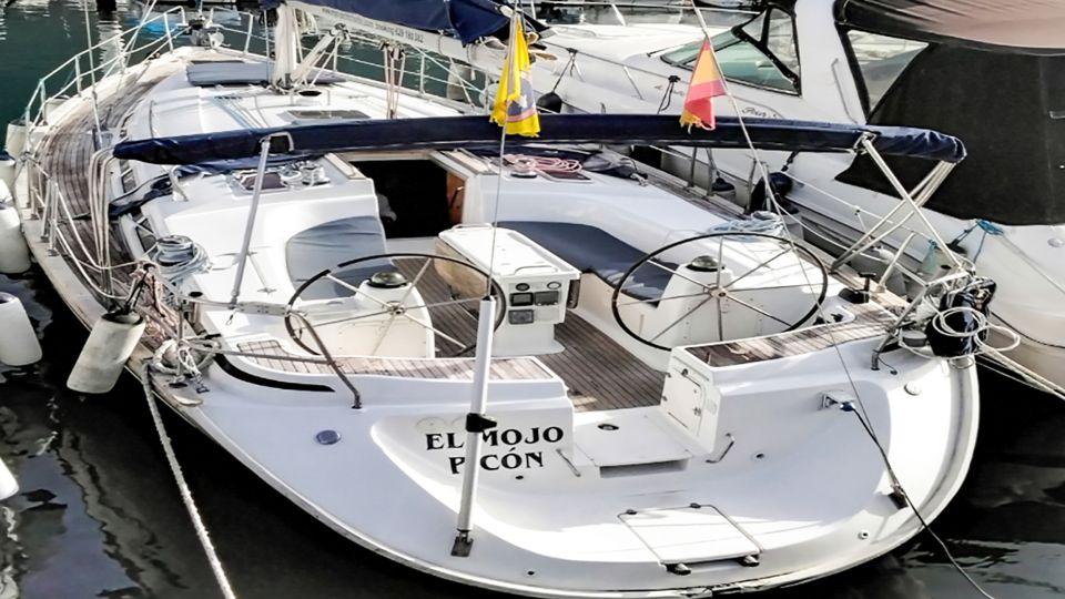 Whale and Dolphin Watching Sailing Tour – Los Gigantes (3H) - What to bring, what to know, and who should skip it