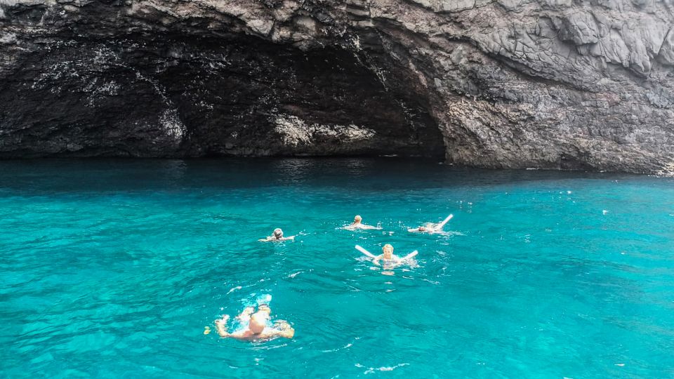 Whale and Dolphin Watching Sailing Tour – Los Gigantes (3H) - Is $76 good value for a 3-hour Tenerife wildlife sail?