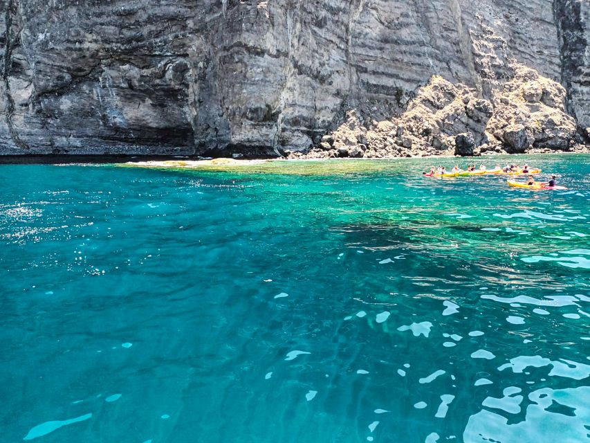 Whale and Dolphin Watching Sailing Tour – Los Gigantes (3H) - Should you book MPC Yacht Charter from Los Gigantes?