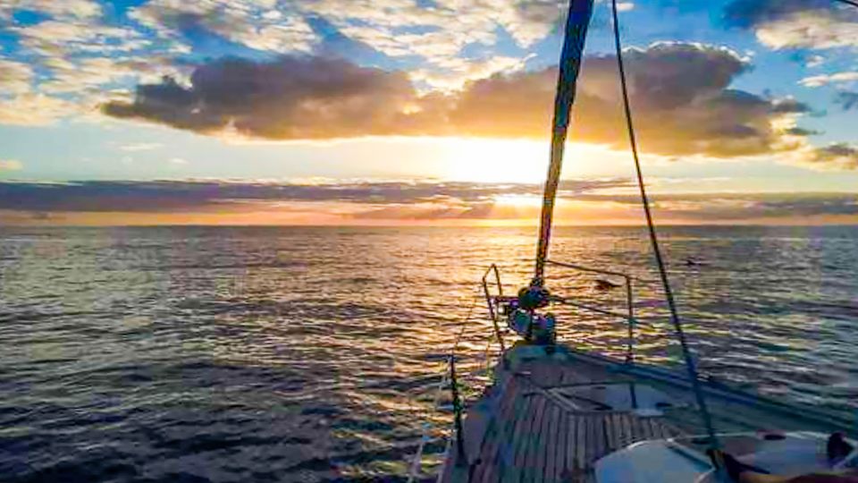 Whale and Dolphin Watching Sailing Tour – Los Gigantes (3H) - FAQ