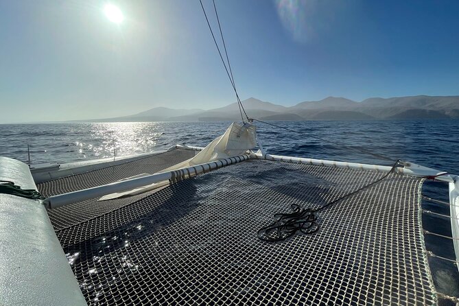 Whale & Dolphin Observation on Silent Catamaran with Hydrophone - Puerto Calero Morning: Quiet Sailing on a 14-Meter Catamaran