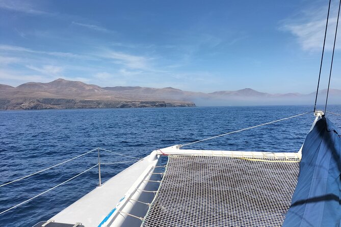 Whale & Dolphin Observation on Silent Catamaran with Hydrophone - How the Hydrophone Actually Fits the Whale-Watching Plan