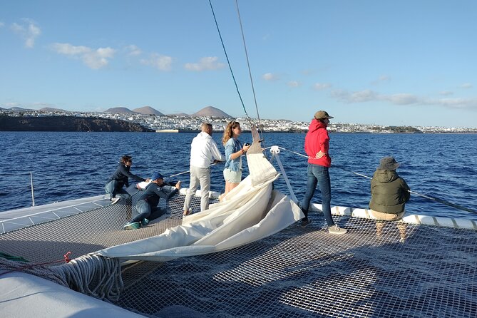 Whale & Dolphin Observation on Silent Catamaran with Hydrophone - Price and Value: Why This Costs More Than a Basic Whale Cruise