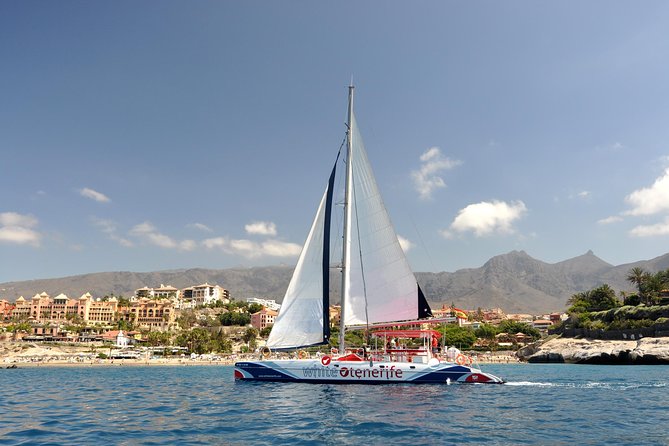 Whale Watching and Listening Eco Catamaran Tour with Food Tasting - Key highlights you should care about