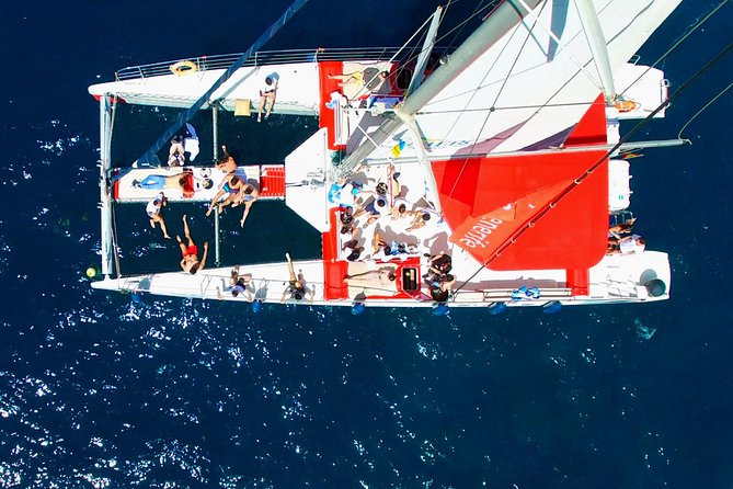 Whale Watching and Listening Eco Catamaran Tour with Food Tasting - Setting out from Costa Adeje: the meeting point that matters