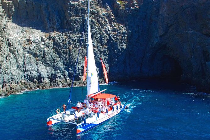 Whale Watching and Listening Eco Catamaran Tour with Food Tasting - When this tour is perfect (and when to consider alternatives)