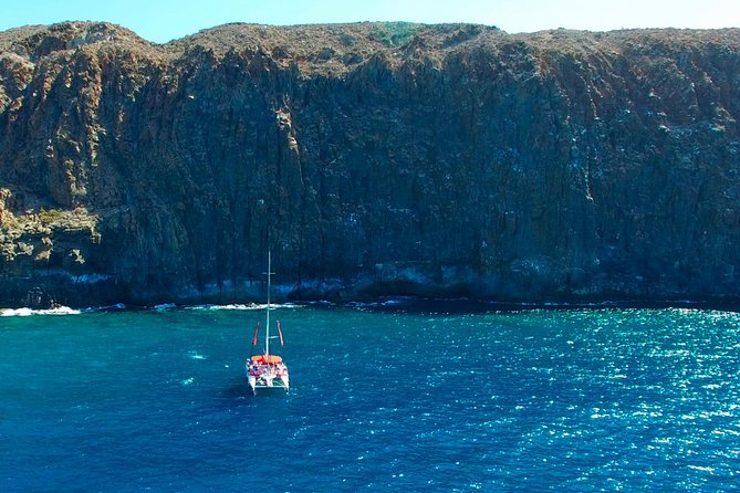 Whale watching and listening Eco-Catamaran Tour with Food Tasting - Comfort, crowding, and seasickness: how to set yourself up