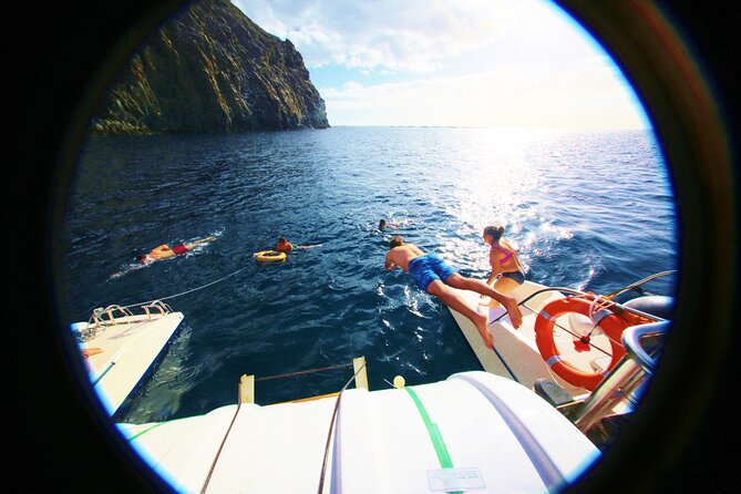 Whale Watching and Listening Eco Catamaran Tour with Food Tasting - Whale watching that’s more than spotting: listening, stories, and respect