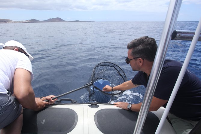 Whale Watching and Marine Science Tour - Should you book Biosean’s whale watching and marine science tour?
