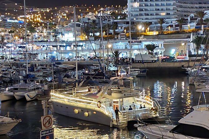Whale Watching Catamaran Cruise with Transfer, Buffet by MC - Price and value: why this often feels like a bargain