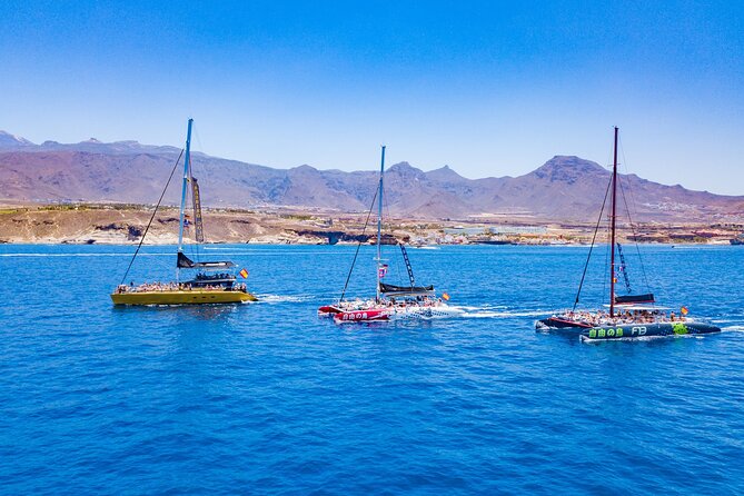 Whale Watching Catamaran in Costa Adeje (Including drinks & Sandwich) - Swim Stop and Jumps Off the Boat (Only If Conditions Allow)