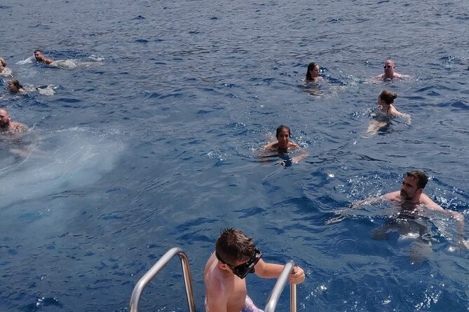 Whale Watching Catamaran in Costa Adeje (Including drinks & Sandwich) - Crew and Commentary: Helpful Guidance With a Loud-Booth Reality