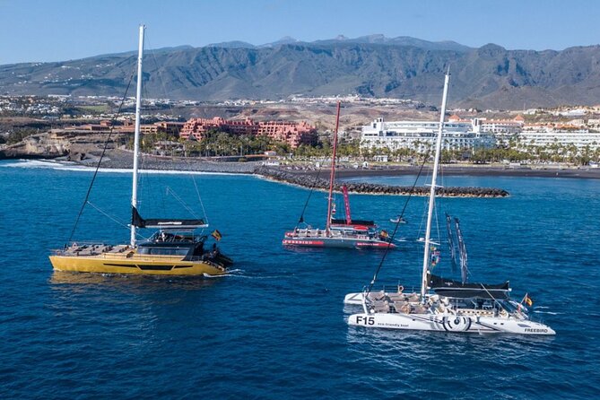 Whale Watching Catamaran in Costa Adeje (Including drinks & Sandwich) - Safety and Peace of Mind: Keep Valuables With You