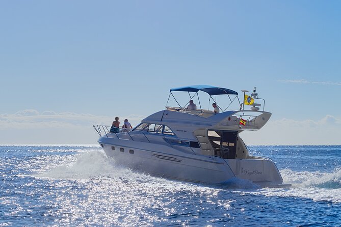 Whales and Dolphins excursion on a Luxury Yacht in Canary Islands - Key points that matter on this Royal Ocean outing